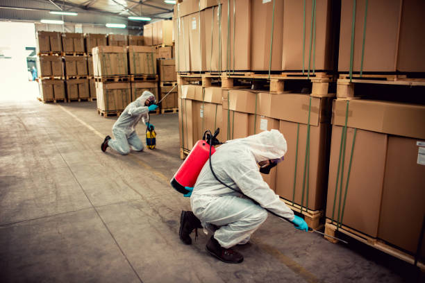 Best Local Pest Control Services  in Decatur, MS