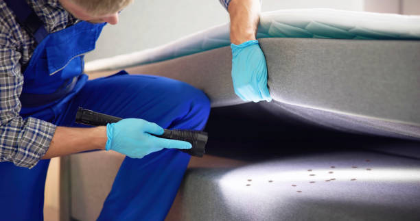 Best Pest Prevention Services  in Decatur, MS